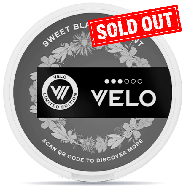 VELO Sweet Blackcurrant⚡️Express Shipping – Nicotinos