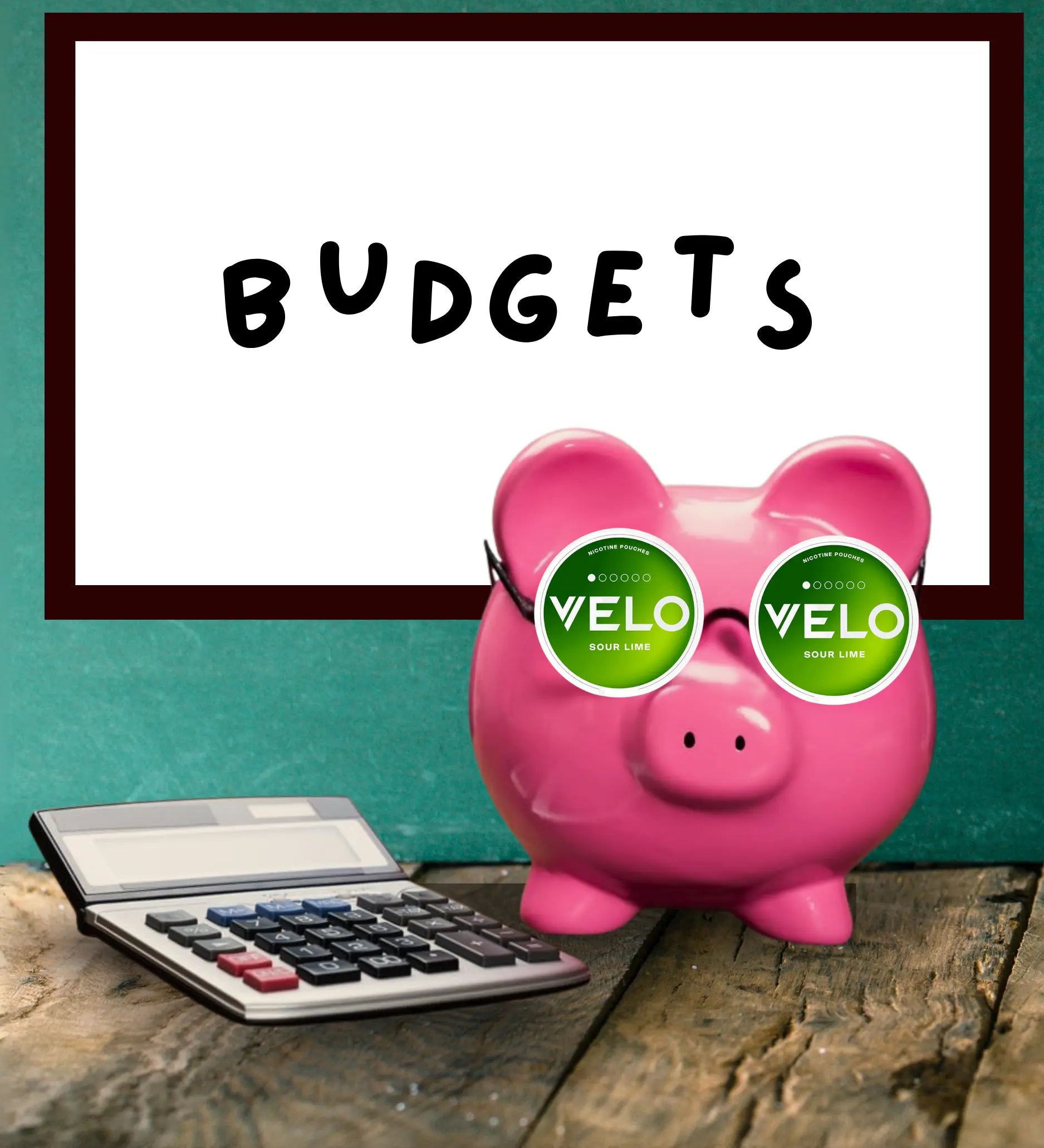 Best budget pouch brands