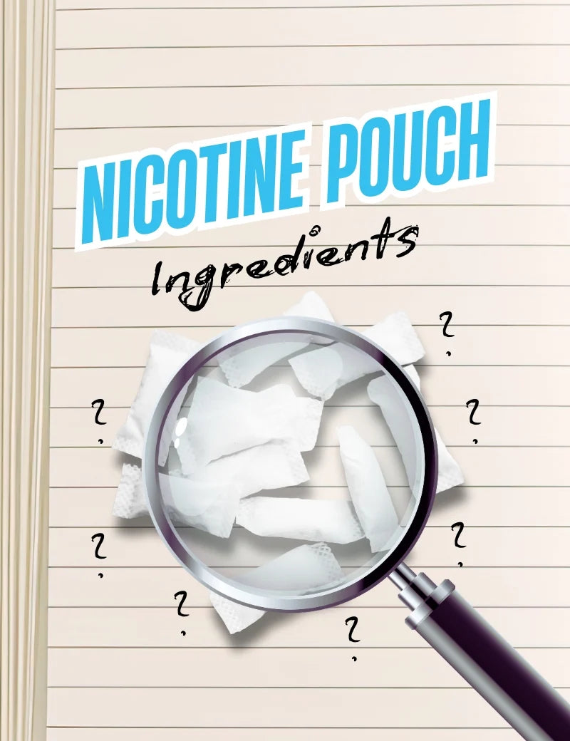 Nicotine Pouch Ingredients: What’s Actually in Nicotine Pouches?