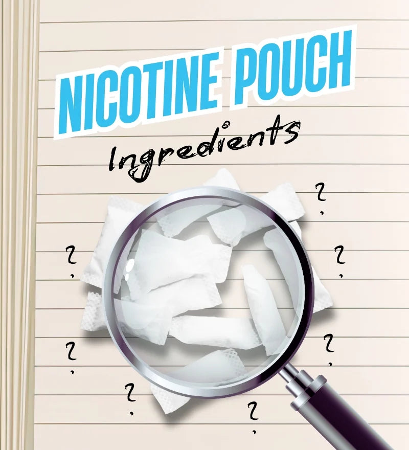 Nicotine Pouch Ingredients: What’s Actually in Nicotine Pouches?