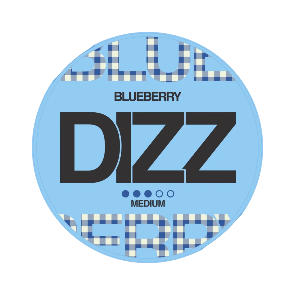 dizz-blueberry-8mg-1264713-1024x1024.png