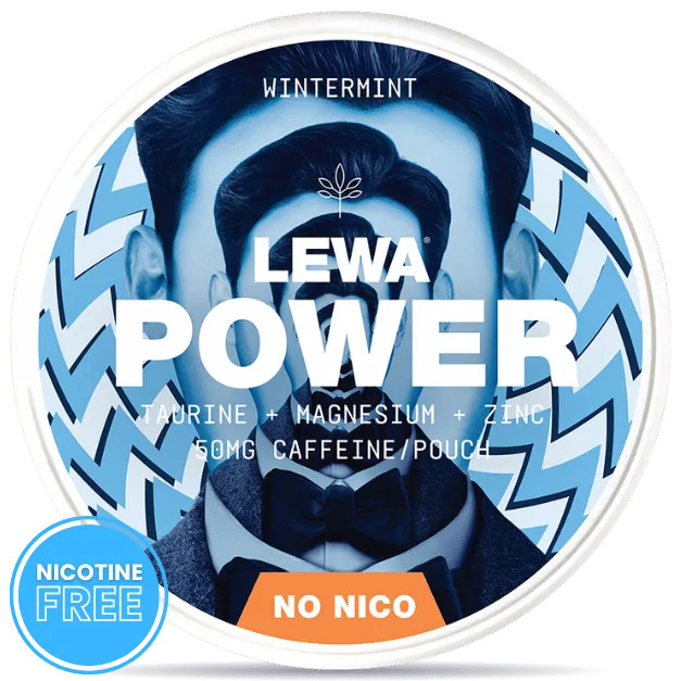LEWA Power Wintermint nicotine free pouches can – no nicotine, caffeine, fresh wintermint flavor