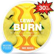 LEWA Citrus Mint