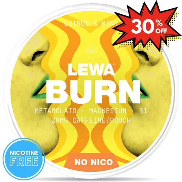 lewa30_4.webp