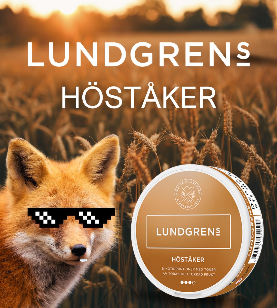 lundgrens_hostaker.jpg