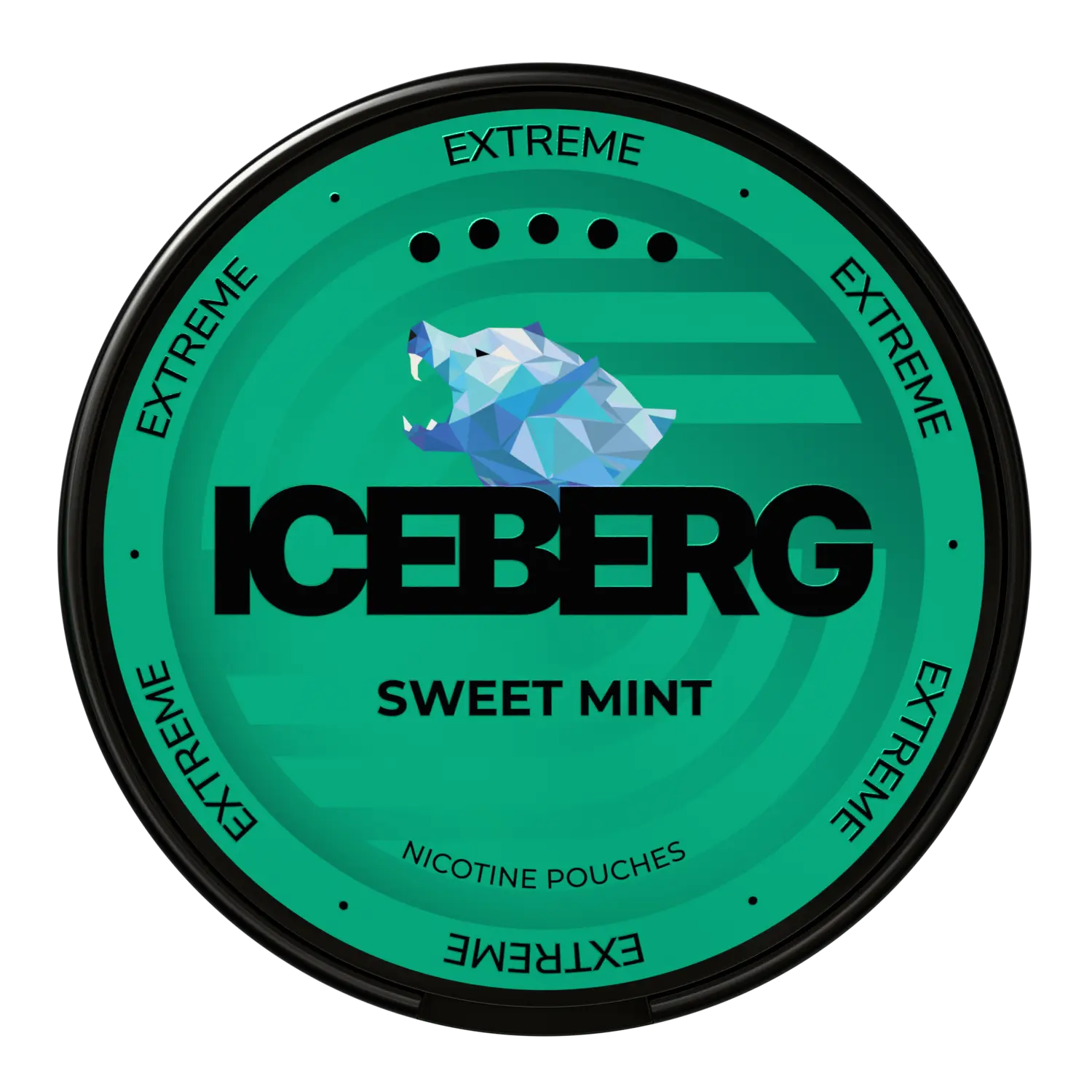 sweet_mint_top_a0d9d6f8-b6dd-4246-b0b9-c0522ff6fd0c.webp