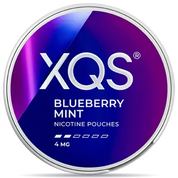 XQS Blueberry Mint 4 mg