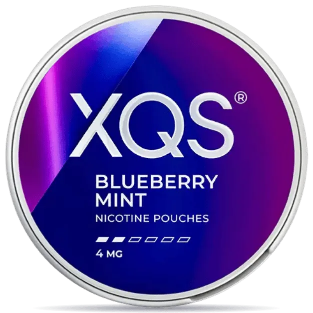XQS Blueberry Mint 4 mg